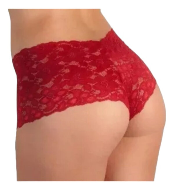 Culotte de encaje (consultar colores)