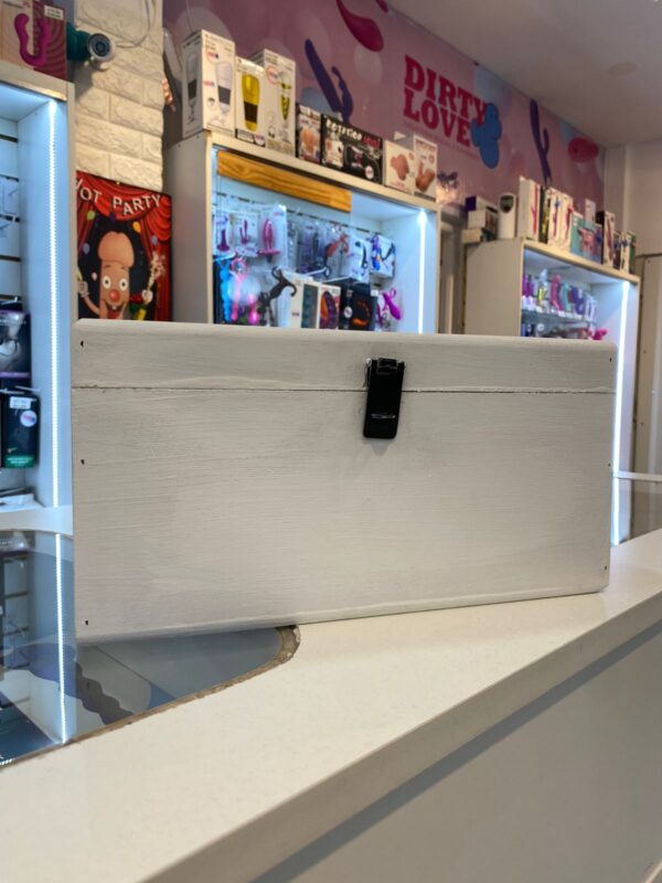 TOYS BOX Cajas de seguridad para guardar tus juguetes y mantenerlos limpios y secos