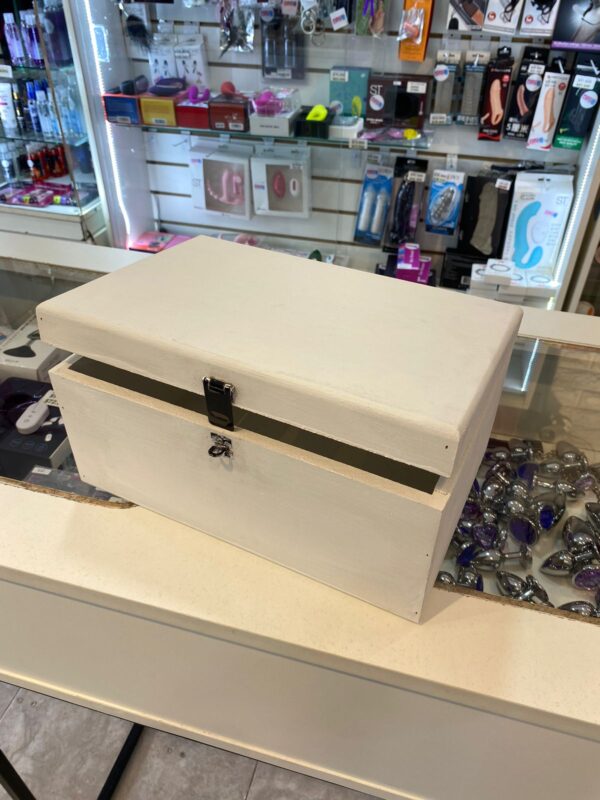 TOYS BOX Cajas de seguridad para guardar tus juguetes y mantenerlos limpios y secos