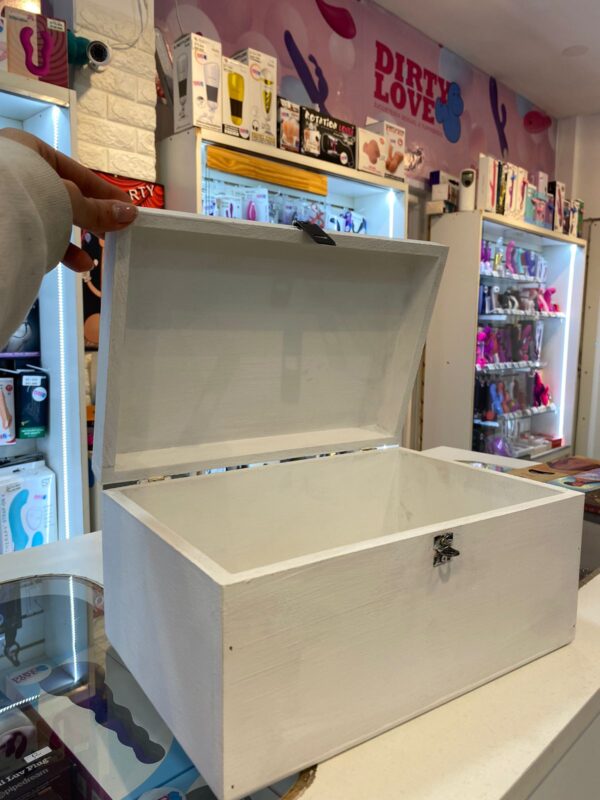 TOYS BOX Cajas de seguridad para guardar tus juguetes y mantenerlos limpios y secos
