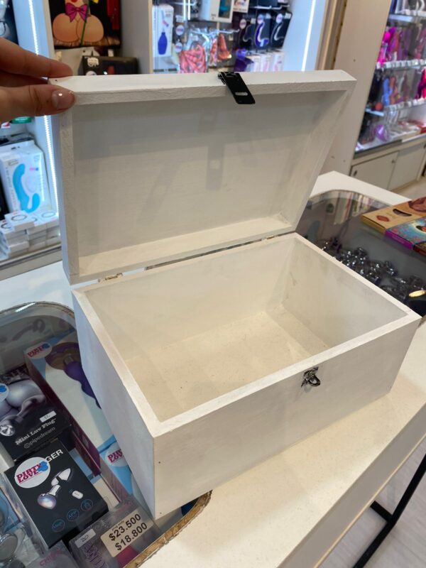 TOYS BOX Cajas de seguridad para guardar tus juguetes y mantenerlos limpios y secos