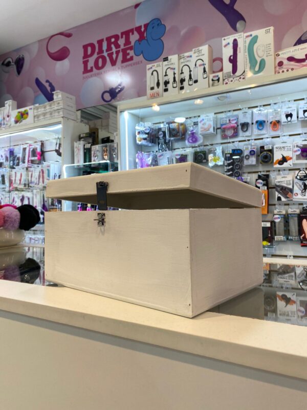 TOYS BOX Cajas de seguridad para guardar tus juguetes y mantenerlos limpios y secos